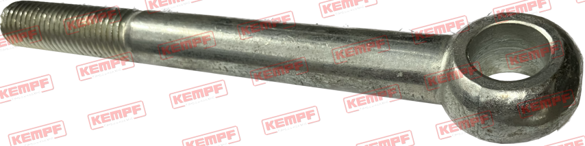 24434 Augenschraube M16x150